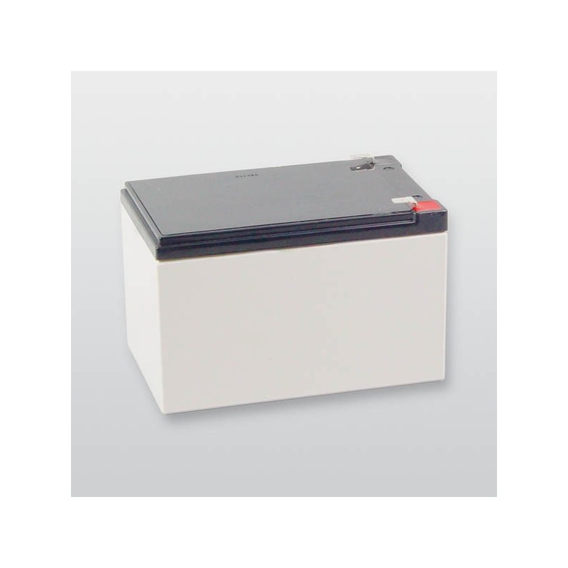 Wartungsfreier Blei-Akku 12 V / 12 Ah