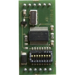 Digital-Inputmodul DIM, 2 INP galv.entk. - Steckbare Ausführung