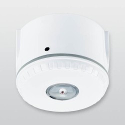 Optischer Signalgeber Ceiling 4481