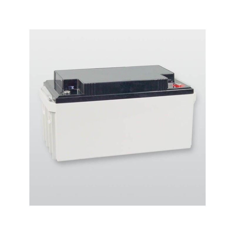 Wartungsfreier Blei-Akku 12 V / 65 Ah