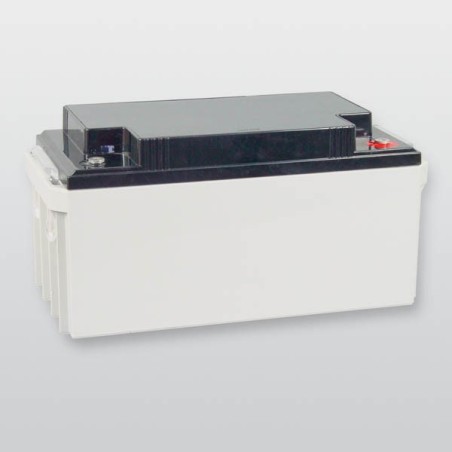 Wartungsfreier Blei-Akku 12 V / 65 Ah