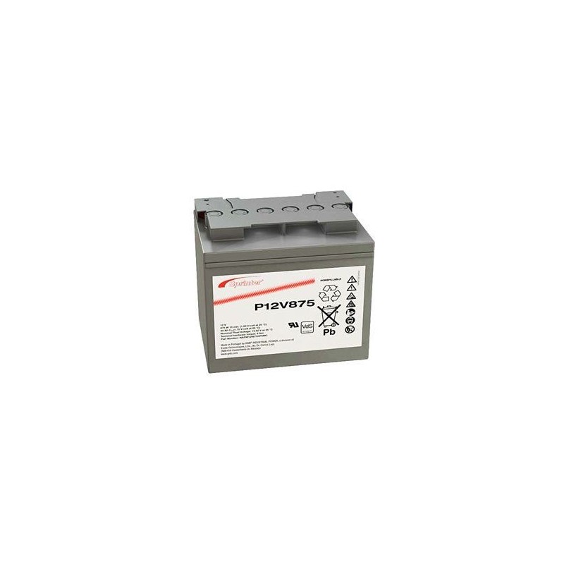 Exide Sprinter P12V875