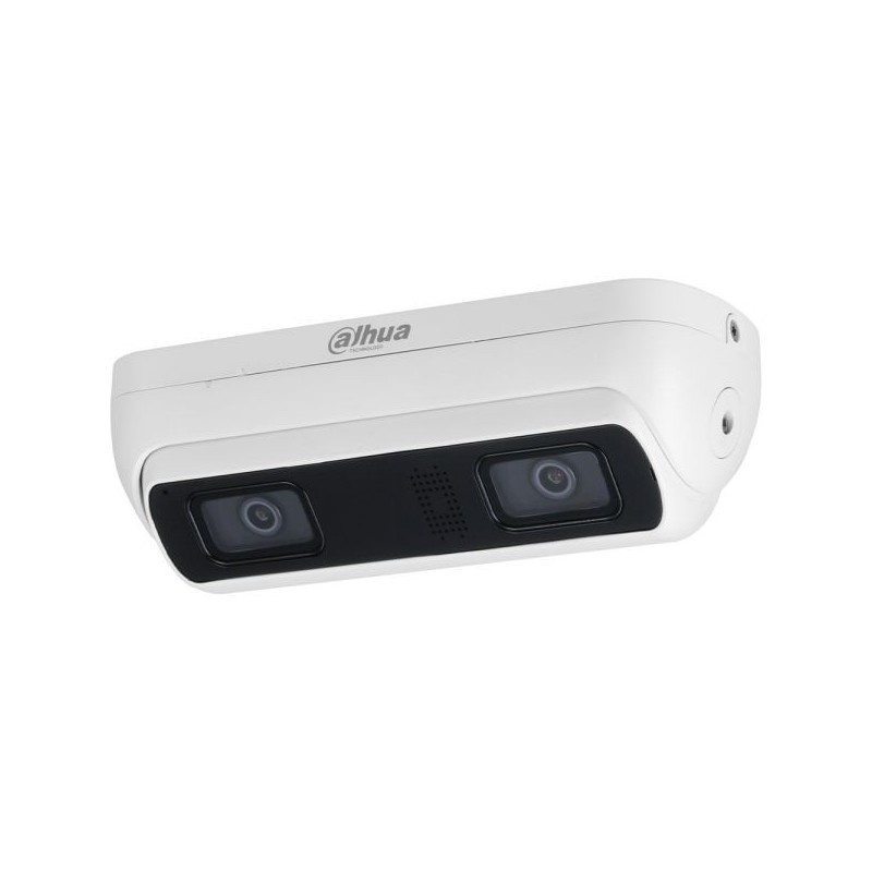 IP-Dual-Lens kamera, 4 MP, 2 mm, IR 20 m, IP67, IK10, bela