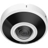 IP-Fisheye-Kamera, 6 MP, 1,68 mm, IR 15 m, IP67, IK10, weiß