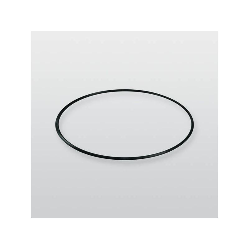 Dichtungsring SZK 6771