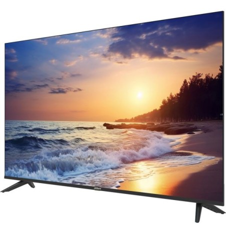 55" DLED-Monitor, inkl. Standfüßen, 2 HDMI, 1 VGA